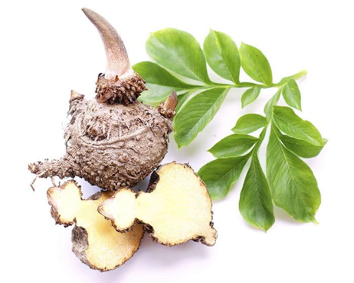 Glucomannan